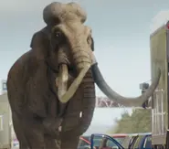 2x6 MammothMain.webp (176 KB)