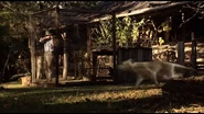 Thylacine escaping.png (1.42 MB) A Thylacine trying to escape from a person's farm.