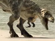 0A604617-53DE-4763-B453-E2AF4A74B1A9.webp (72 KB)