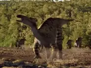 15303665-C6C0-4913-A180-36137D3CA769.webp (89 KB)