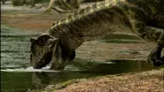 Lost world 2001 the allosaurus by maastrichiangguy ddsajc1-pre.webp (99 KB) An Allosaurus drinking from a lake.