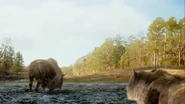 An Ancient Bison trapped in the tar pit while being stalked by a pack of Dire Wolves.