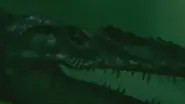 1x3 Mosasaur 86.webp (63 KB)