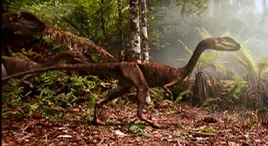 65c5a534348c080fbb7205f0aa479e03