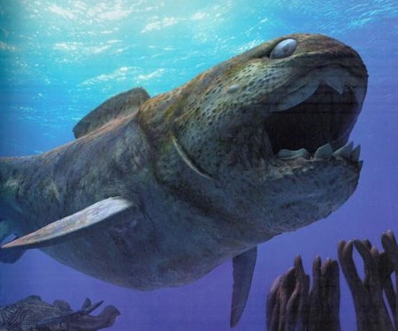 prehistoric armored fish