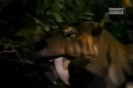 Screenshot 2022-04-19 5.09.05 PM