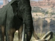 Gettyimages-1B08373 0013-640x640.jpg (25 KB)