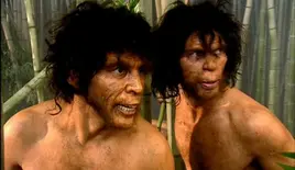 Homo Erectus