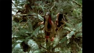 Two Māori traveling through the forests of New Zealand.