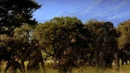 P02bytfn.jpg (34 KB)