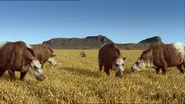A herd of Toxodon grazing on grass.