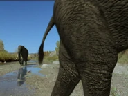 Gettyimages-1B08373 0037-640x640.jpg (26 KB)