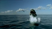 A Deinosuchus bursting out of the water to kill a Nyctosaurus.