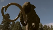 Screenshot (265).png (786 KB) A Columbian Mammoth getting stuck in a tar pit.