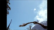 A Haast's Eagle swooping down on it's prey.