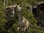 2DB42DAA-9200-4E18-9428-965C51177B38.webp (76 KB)