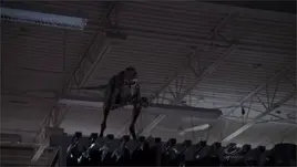 DaemonosaurusOnStoreShelf