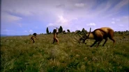 A group of Homo Heidelbergensis attacking a Megaloceros.