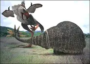 Glyptodont.webp (32 KB)