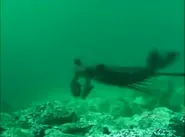 Screenshot 20181218-163147.webp (122 KB)