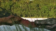 A group of Deinosuchus fighting a pack of Albertosaurus for meat.