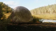 Glyptodon .png (1.16 MB)