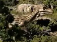 1587F2B3-358B-4CCB-B861-A1CC3E5D2BDA.webp (141 KB)