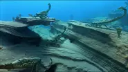 WaterDwellers.webp (121 KB)