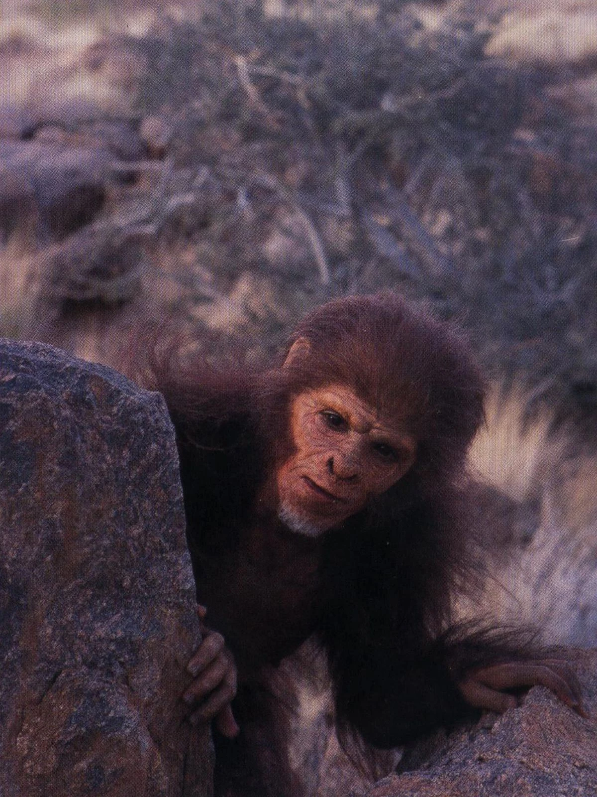 Tarzan Prehistoric Earth A Natural History Wiki Fandom