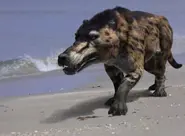 Andrewsarchus2.webp (71 KB)