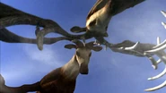 Two Megaloceros fighting for a mate.