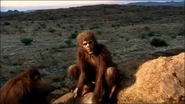 Screenshot (35).png (1.19 MB) A Homo Habilis creating stone tools.