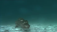 A Deinosuchus waiting in the water to strike at it's prey.