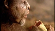 Habilis eating bone marrow.png (1.42 MB)
