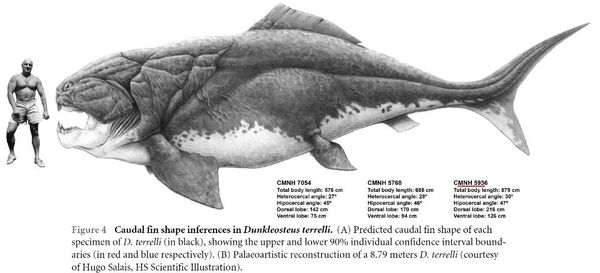 Top 10 Prehistoric Fish Prehistoric Life Wiki Fandom