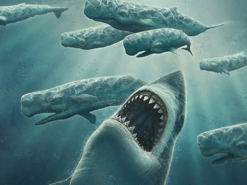 Megalodon Prehistoric Life Wiki Fandom