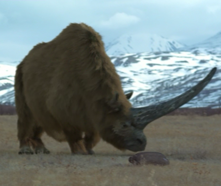 elasmotherium prehistoric park