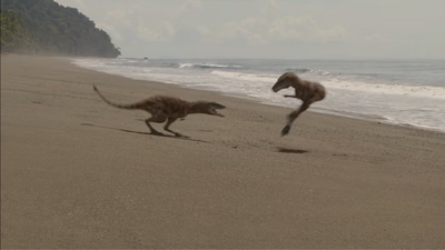 Juvenile T. rexes squabbling over a baby turtle