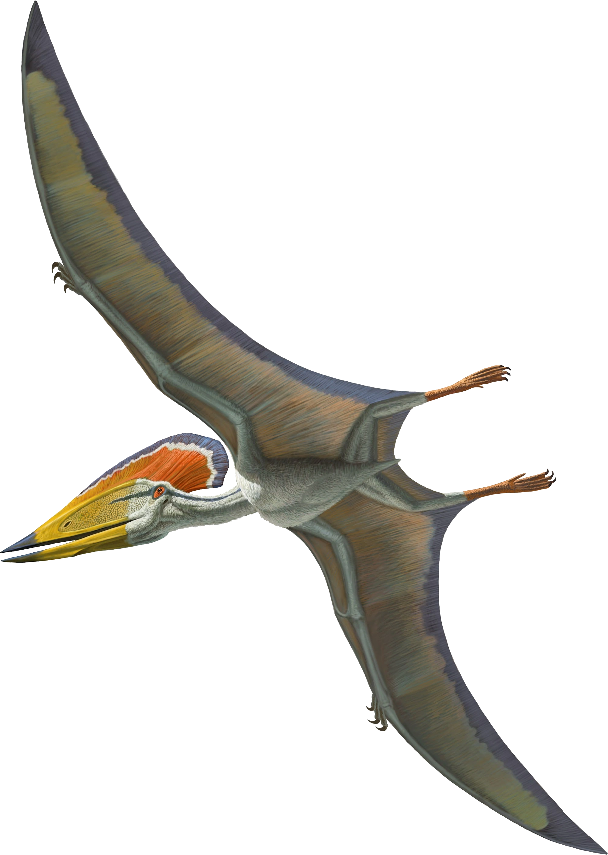 Creating pairs (or even trios) of similar dinosaurs that share mechanics,  to speed up the process and adding more variety and unpredictability to the  game. : r/theisle, image size:2000x2814