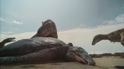 A T. rex comes across a dead turtle