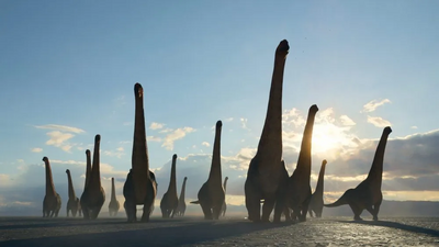 Dreadnoughtus males visit the desert for their mating season