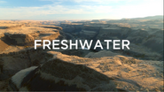 Freshwater