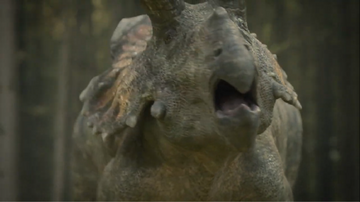 Veteran Triceratops bellowing in victory, with a T. rex bite mark visible on the right side of his frill
