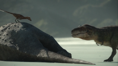 As the largest predator to ever walk in North America, T. rex can easily process large sources of food like Alamosaurus corpses, and scare off smaller carnivores like troodontids