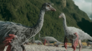 Male Ornithomimuses building nests by river islands