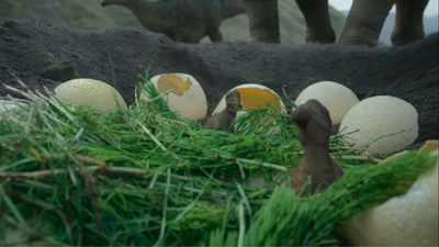Olorotitan hatchlings with food given by their mother