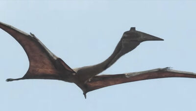 A Quetzalcoatlus in flight