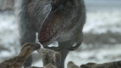 Nanuqsaurus tends to her chicks