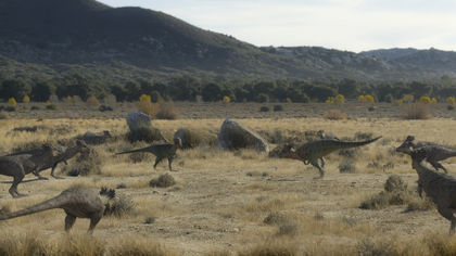 The Pachycephalosaurus herd gathers around to watch an incoming duel between two males.