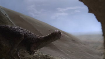 Mononykus watches rain fall from within the comfort of a crevice